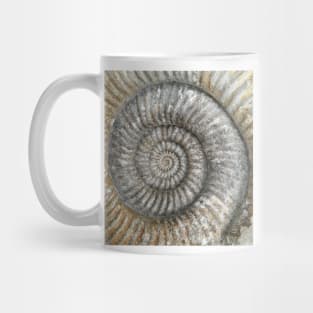 Ammonite Mug